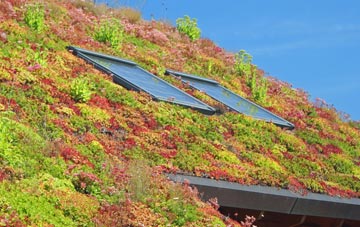 Horsforth Woodside living roof systems